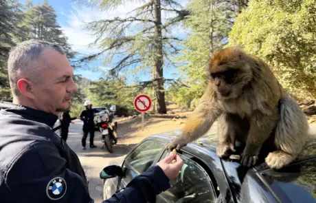 Wyprawa do Maroko, Afryka - listopad 2025